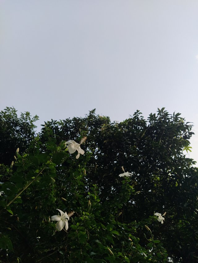 IMG_20220904_163248.jpg