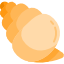 conch-shell.png