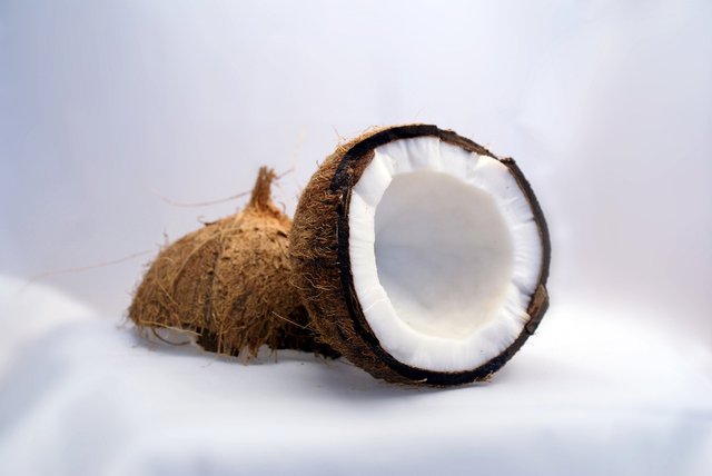 coconut-1125_1920.jpg