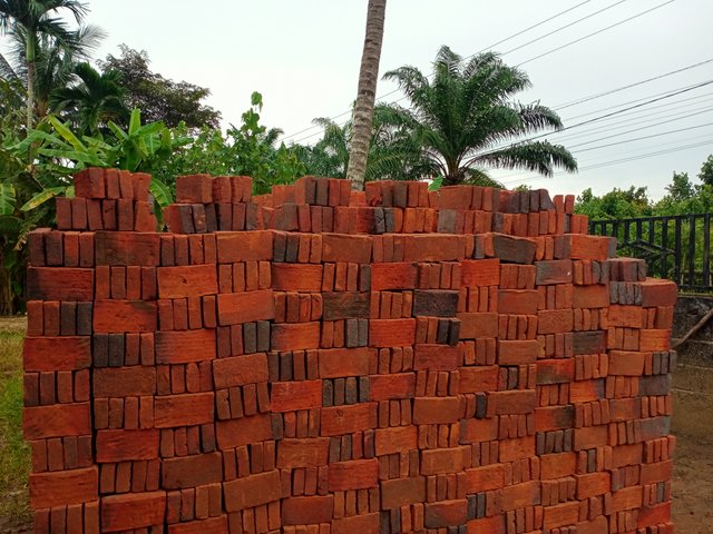 IMG20250912073441.jpg