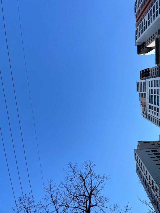F66E32E2-83C4-4D40-8E35-857E92F54433.jpeg