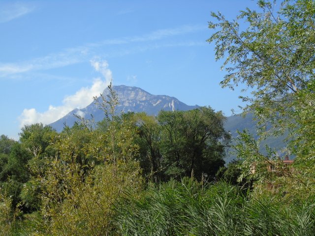 DSC07477.JPG