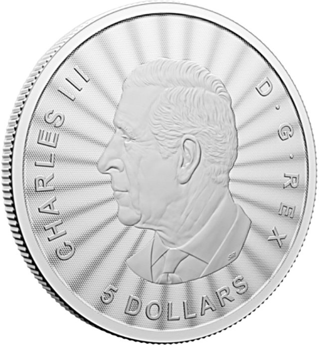 fbig_2024_1oz_Silver_MajesticPolarBear_obv_showing_Edge.jpg