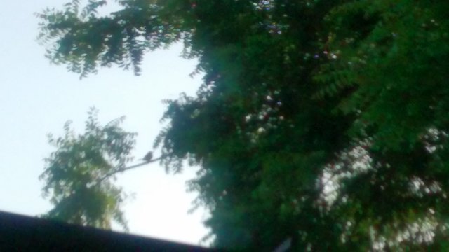 IMG_20180705_182427742.jpg