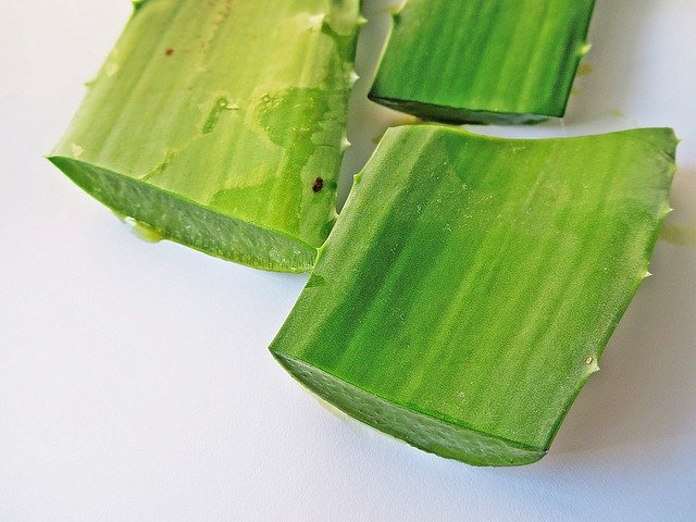 aloe-vera-2036626_640.jpg