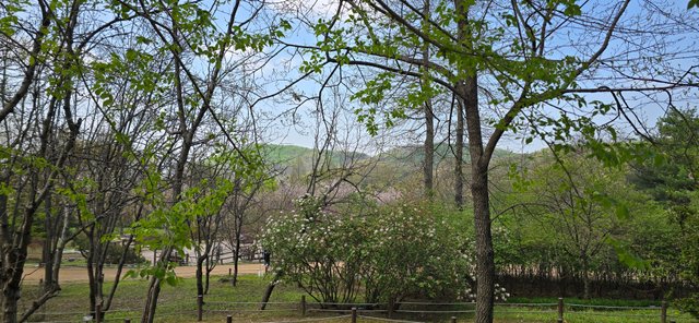 KakaoTalk_20250420_121618946_20.jpg