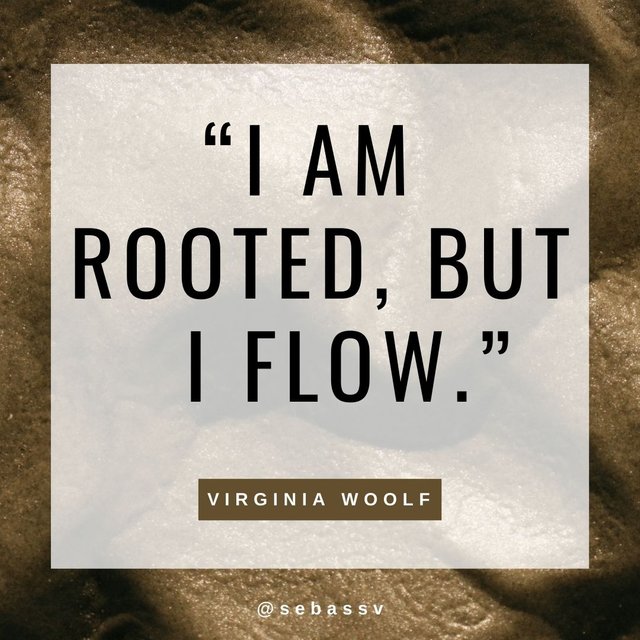 Virginia Woolf 9.jpg