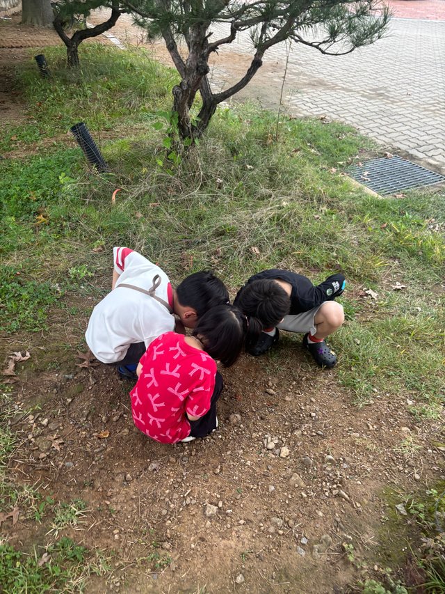 IMG_2159.jpeg