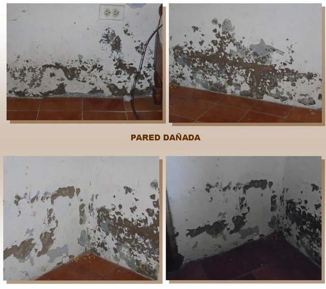 1 PARED DAÑADA.jpg