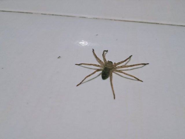 IMG20250329040946.jpg