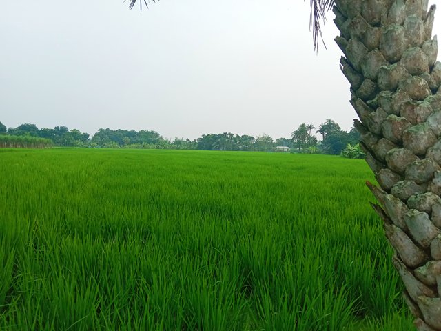 IMG_20251006_194040.jpg