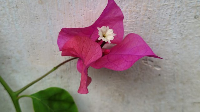 IMG-20250704-WA0018.jpg