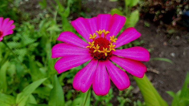 IMG_20250930_164146.jpg
