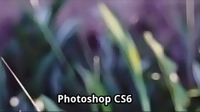 Photoshop-CS6.jpg
