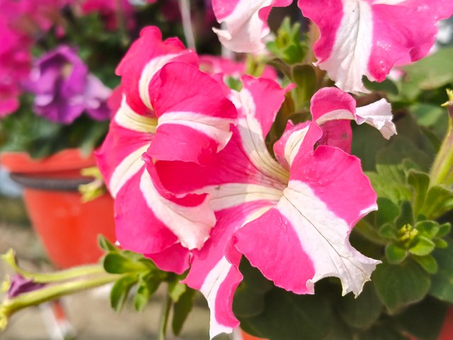 IMG20250122105504.jpg