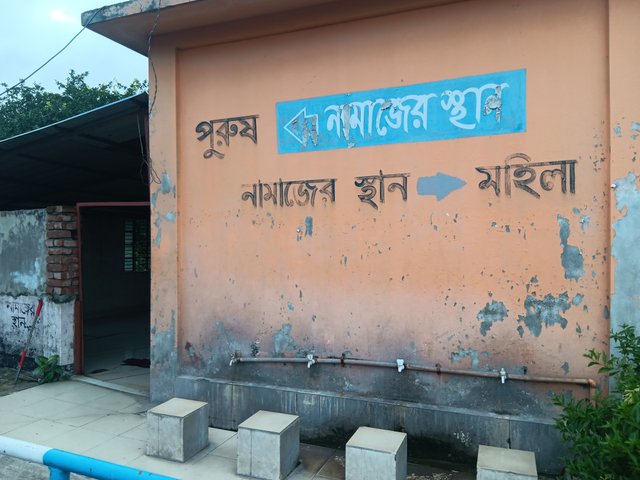 1000036441.jpg