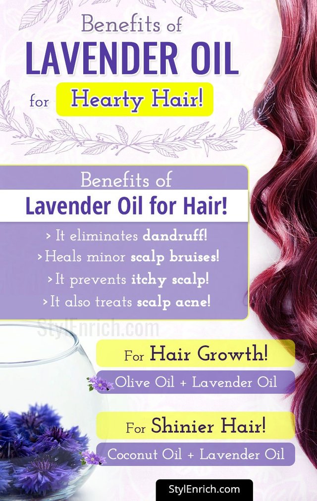 Lavender-Oil-For-Hair-stylenrich.jpg
