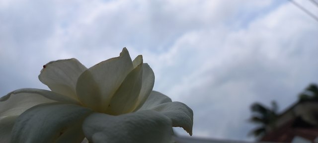 20220612_115418.jpg