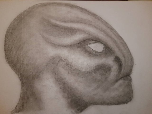 20250710_111246.jpg