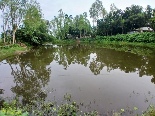 1000057479.jpg