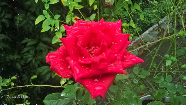 Notes_250611_114959_90f.jpg