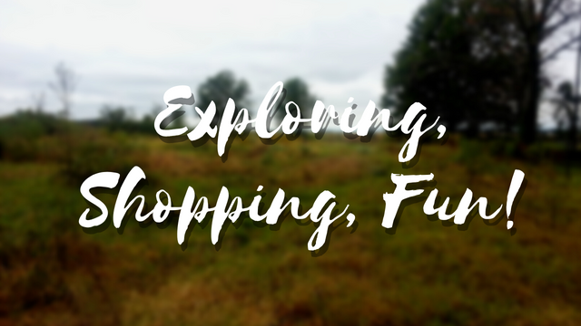 Exploring, Shopping, Fun!.png