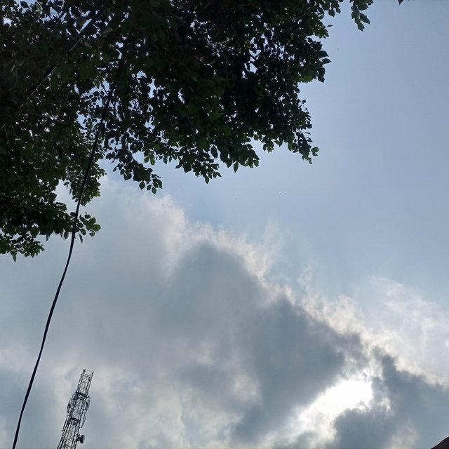 IMG_20251005_144346_378.jpg