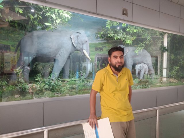 IMG20250312132327.jpg