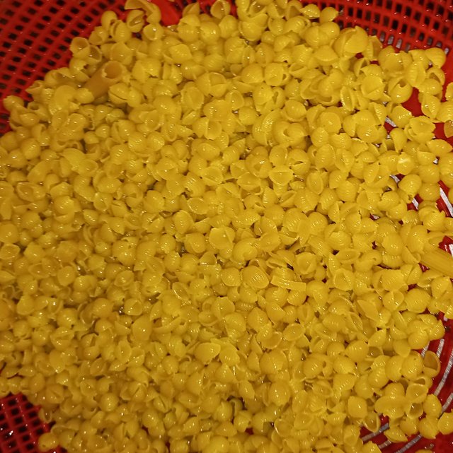 20250921_082021.jpg