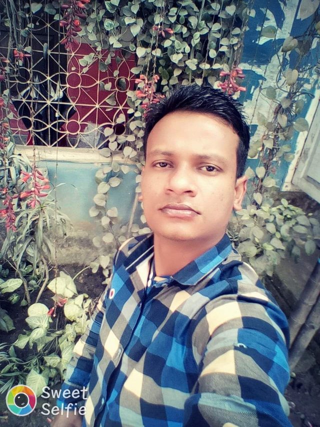 received_261154111089938.jpeg