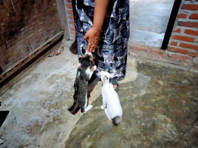 IMG20250515194407.jpg