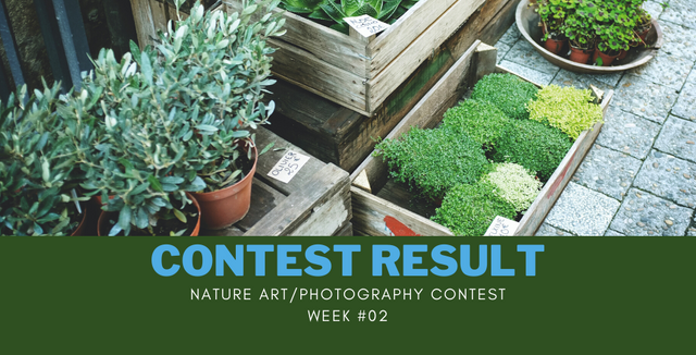 Result Couple Art Photography Contest Week #4(2).png