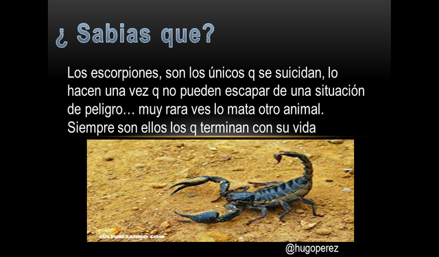 escorpion.png