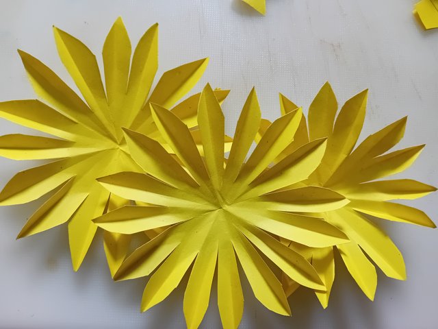 1000043897.jpg