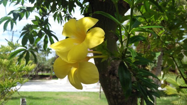 IMG20220902100217.jpg