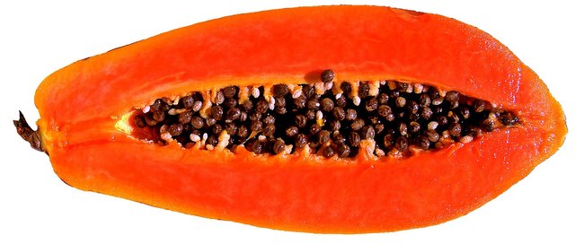 papaya.jpg