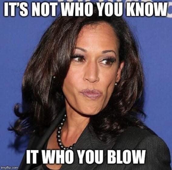 Kamala Harris Meme.jpg