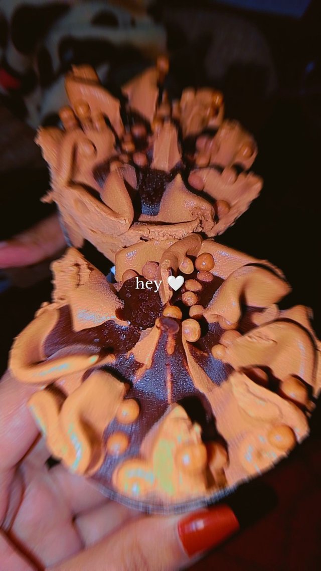 1000088241.jpg