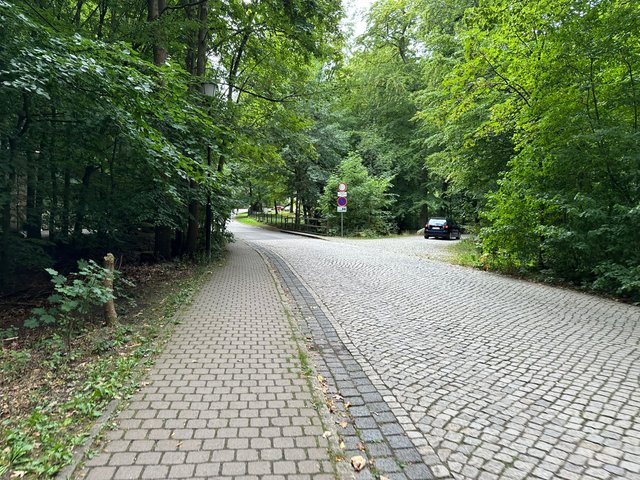 IMG_0295.jpeg