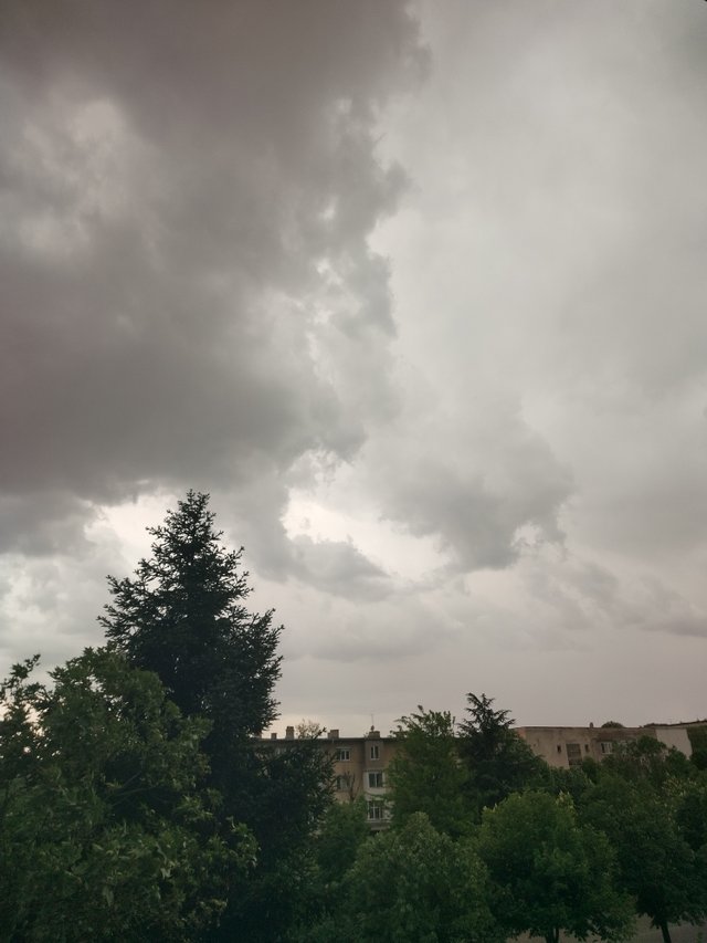 IMG_20250506_154523_HDR.jpg