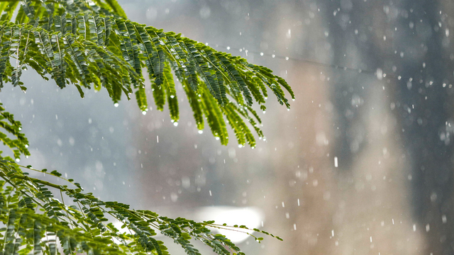 Green and White Modern April 2026 Calendar Desktop Wallpaper.png