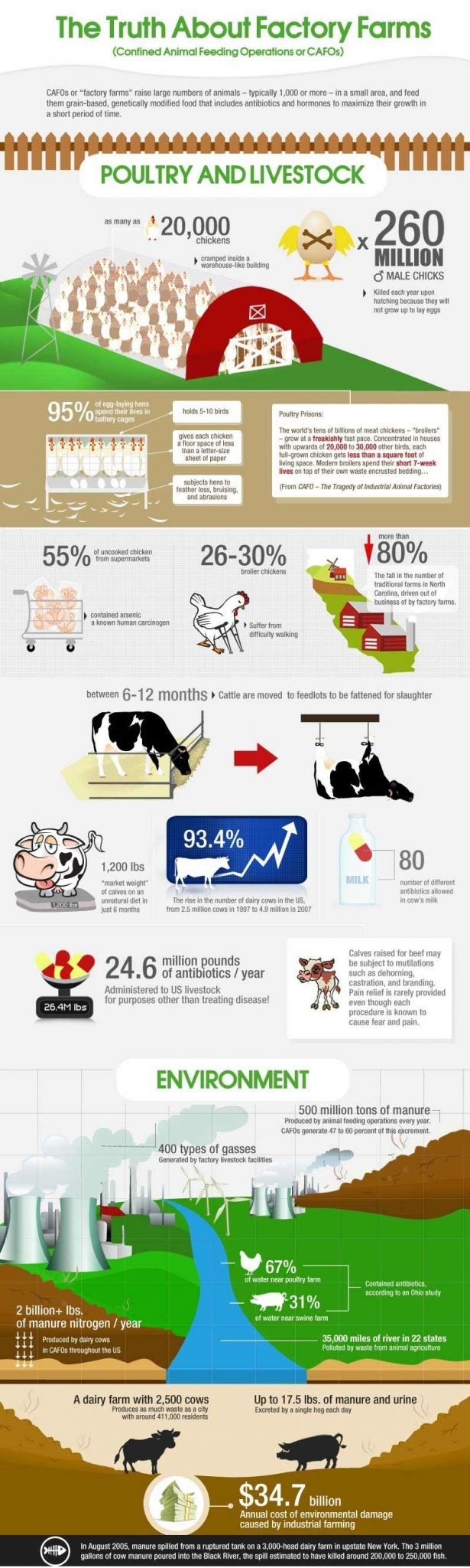 truth-about-factory-farms-infographic-part-1.jpg