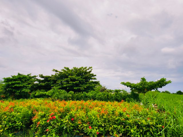 IMG_20250710_113545.jpg