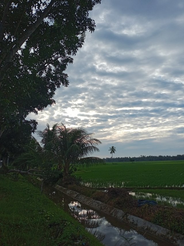 IMG20251003172320.jpg
