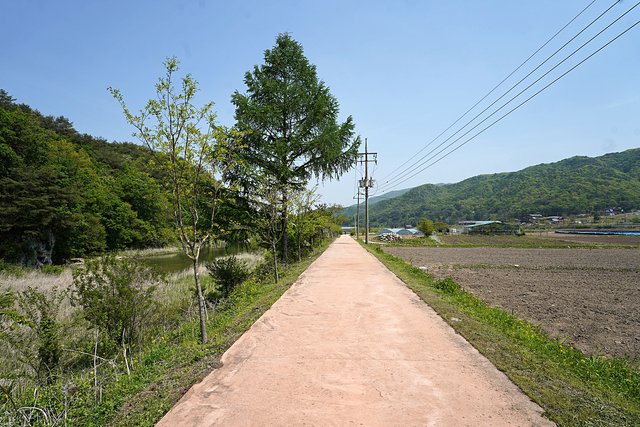 b-DSC01041.JPG