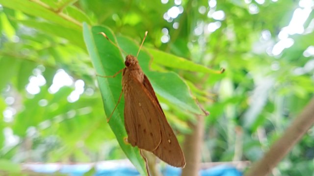 IMG20250428154158_01.jpg