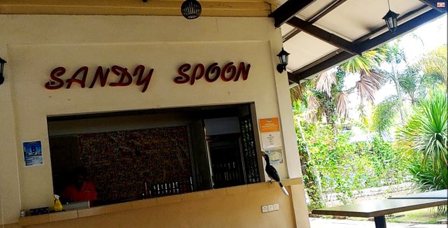 Sandy Spoon Restaurant.jpg