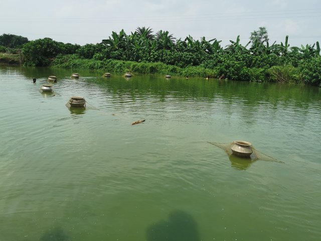 IMG_20240813_132954.jpg