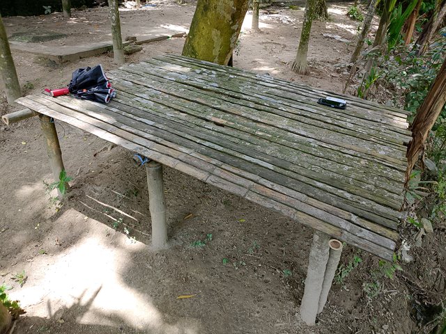 1000046261.jpg
