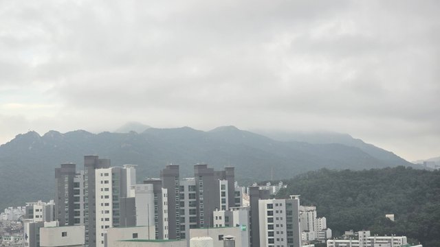 1000131239.jpg